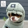 チワワ2.2kg(首18.5/胴30/丈30cm)のピクルスくんはグリーンのSを着用