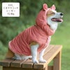 コーギー10.6kg(首36/胴51/丈37cm)のラテちゃんはくまテラコッタのXXLを着用