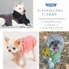 コーディネイトしやすいミニマルカラー
