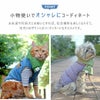 小物使いでオシャレにコーディネート