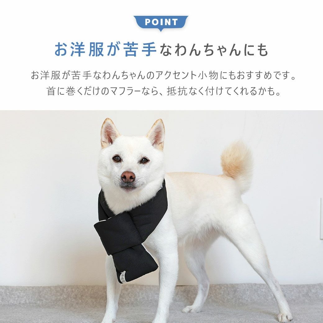 お洋服が苦手なわんちゃんのアクセント小物