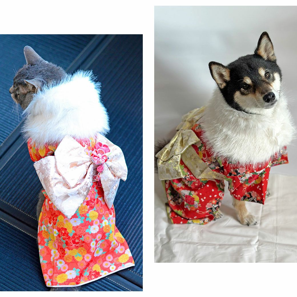 犬用の着物&ショール　２セット iDog ふわふわファーショール アイドッグ-犬猫用品通販 IDOG&ICAT