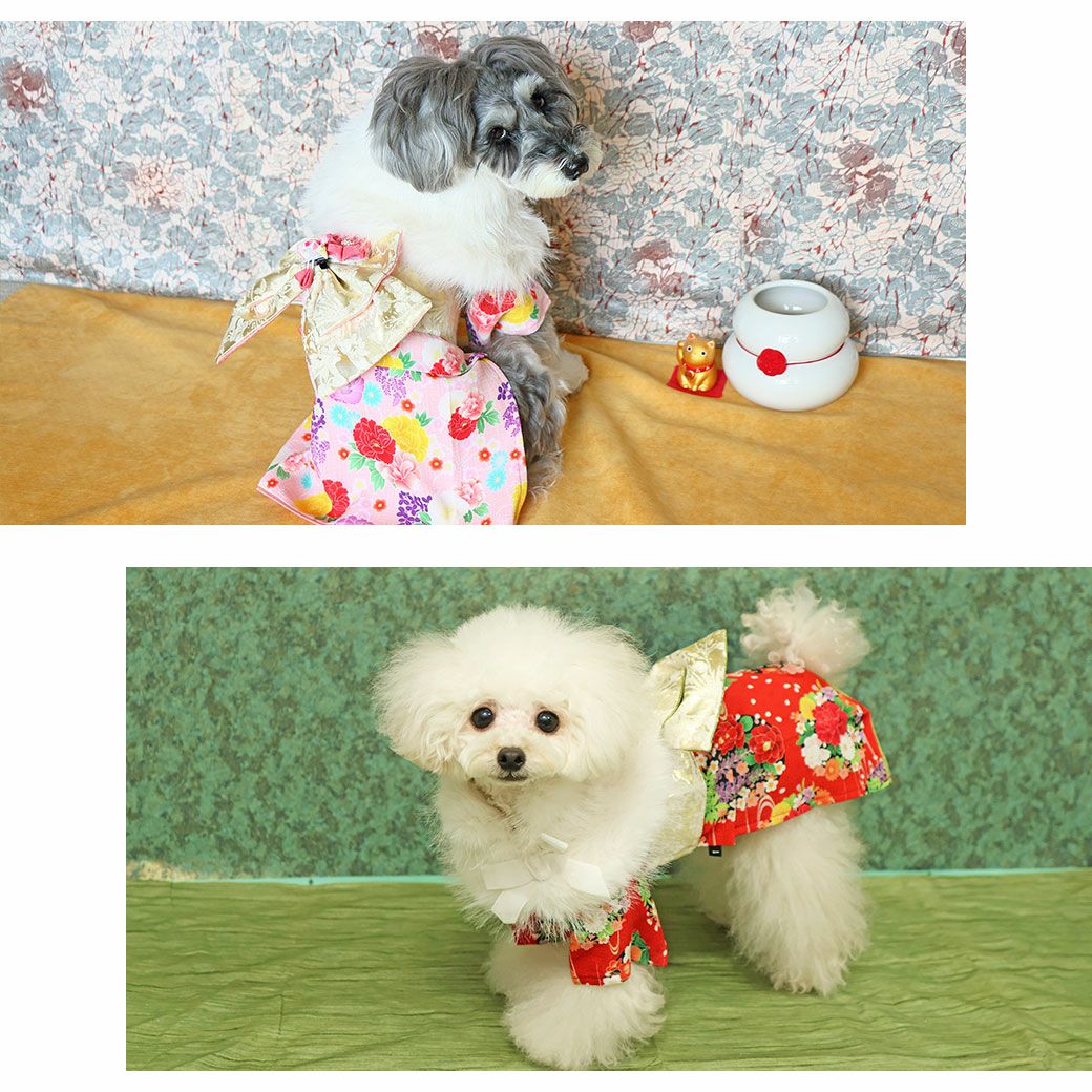 犬用の着物&ショール　２セット iDog ふわふわファーショール アイドッグ-犬猫用品通販 IDOG&ICAT