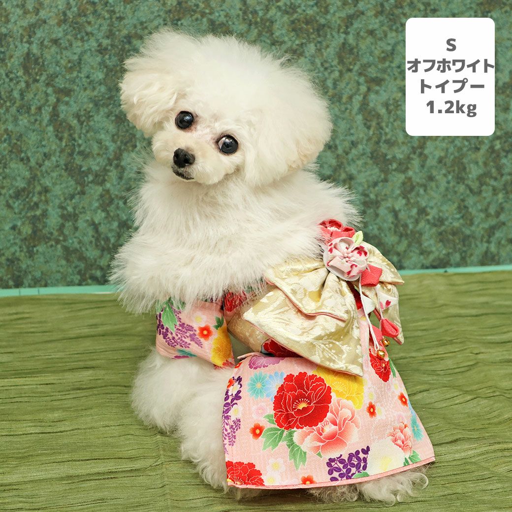 iDog ふわふわファーショール アイドッグ-犬猫用品通販 IDOG&ICAT