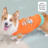 コーギー10.6kg(首36/胴51/丈37cm)のラテちゃんはオレンジのXXLを着用