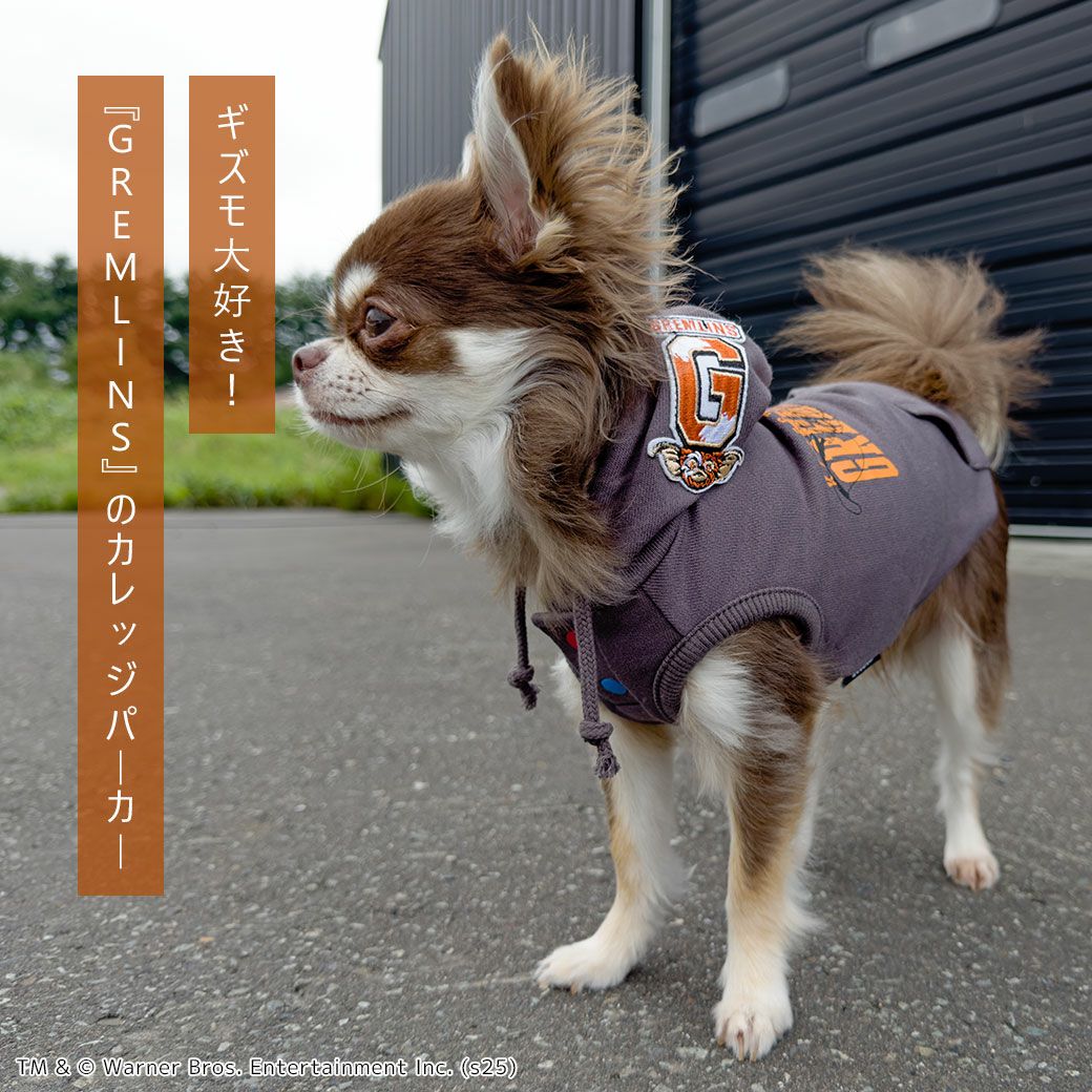 犬服 GG ハートパーカー heart logo hoodie( for pets) – YZ