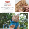 『グレムリン』好きのこだわり