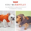 ギズモと一緒にお出かけしよう