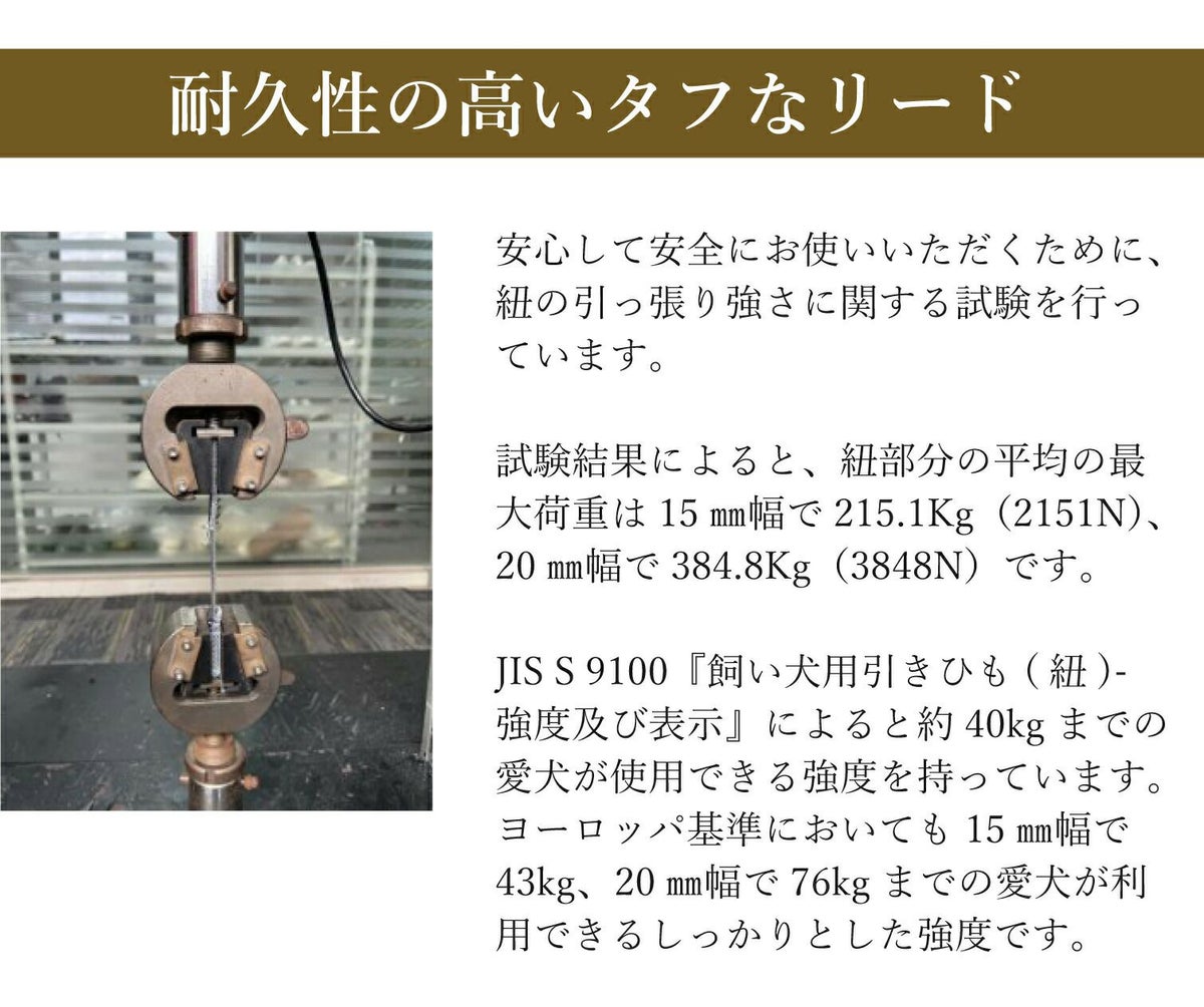 耐久性の高いタフなリード