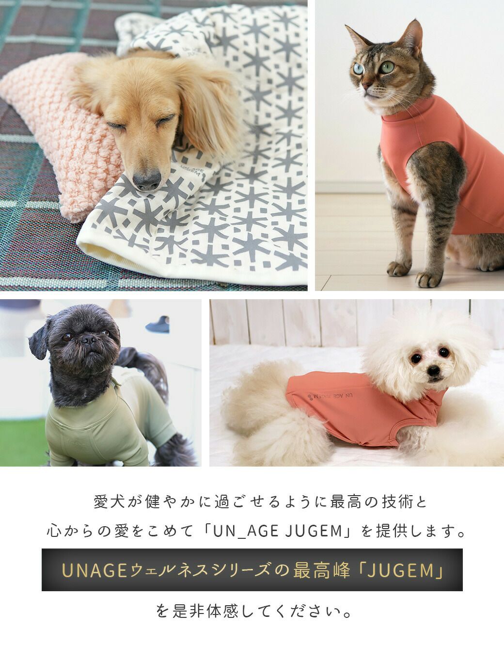 IDOG&ICAT UNAGE_JUGEM ガーゼケット アンエイジ ジュゲム アイドッグ