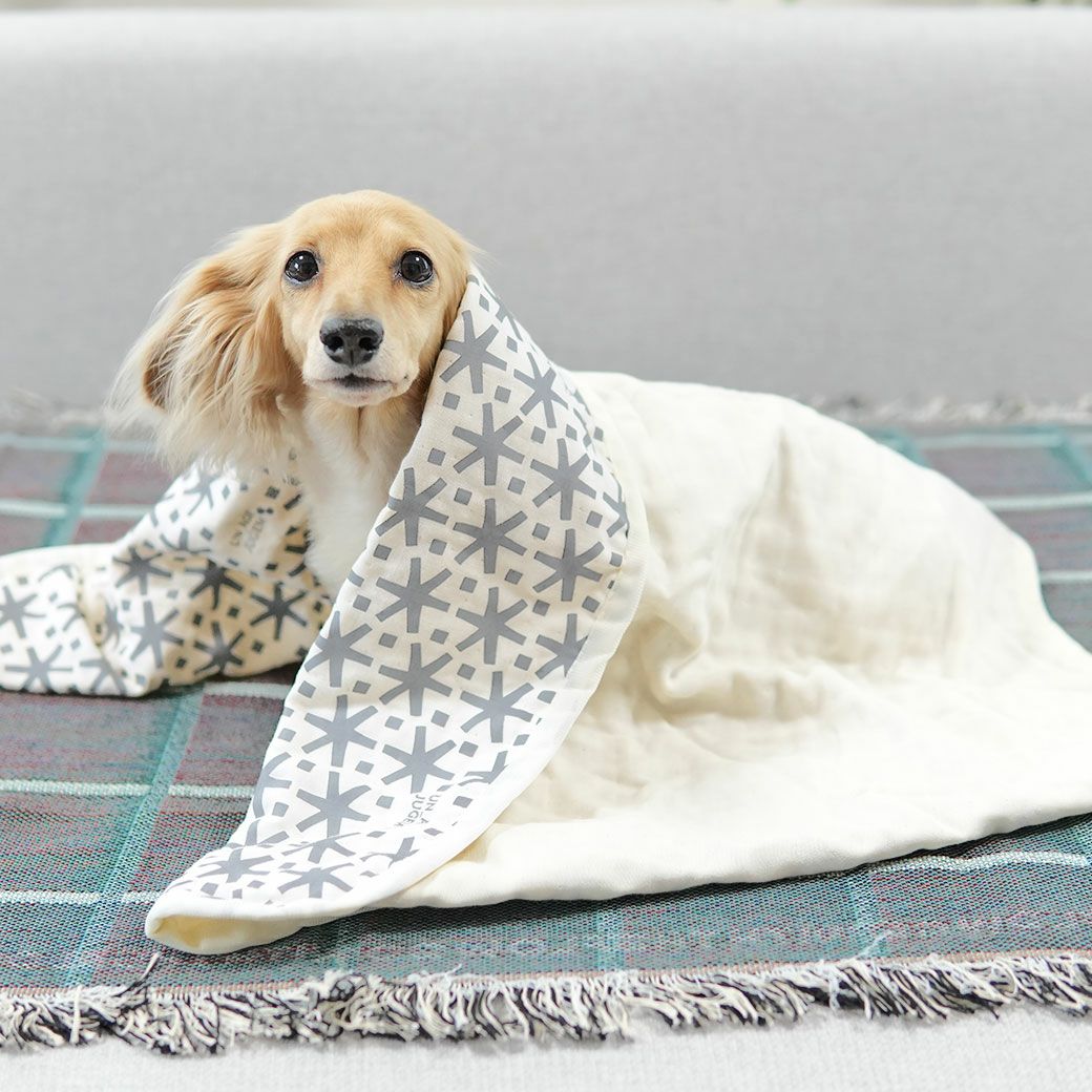 IDOG&ICAT UNAGE_JUGEM ガーゼケット アンエイジ ジュゲム アイドッグ