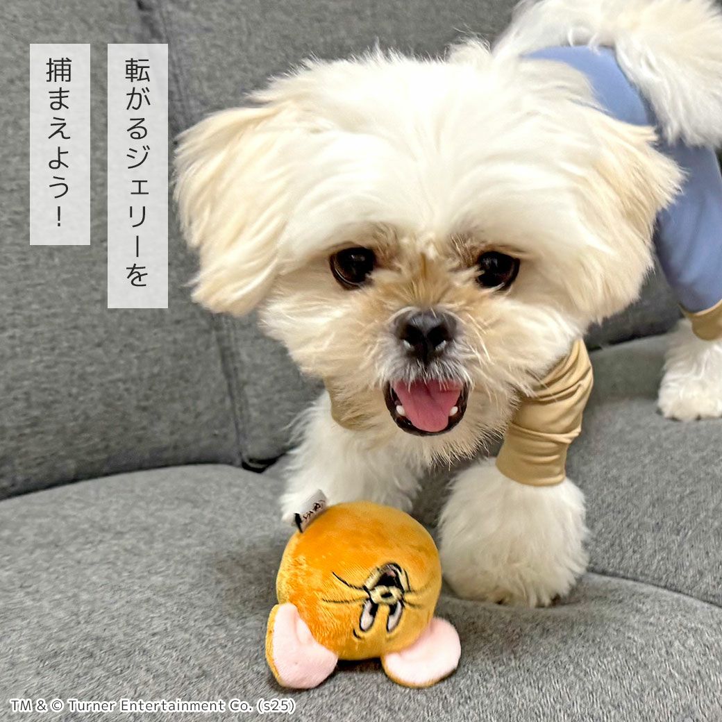 iDog TOM and JERRY コロコロジェリーボール アイドッグ-犬猫用品通販