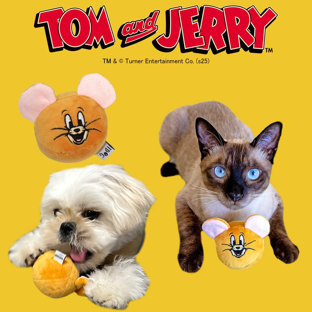 iDog TOM and JERRY コロコロジェリーボール アイドッグ-犬猫用品通販