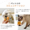 愛犬とのコミュニケーション