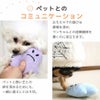 遊んでコミュニケーション深めよう