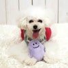 トイプー1.2kg(首15/胴26/丈19cm)のマユリちゃんはパープルで遊びました。