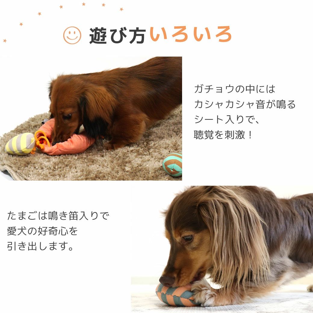 我儘愛犬 iDog AQUA HOLD ひえひえ冷却中!愛犬用クールポンチョ アイドッグ-犬猫