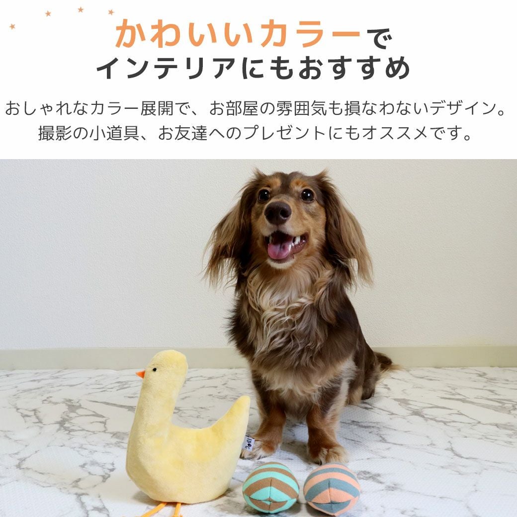 いぬむし ウィムズィーズ 息さわやか やわらかタイプ XS 7個入り: 800｜業務用