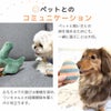 おもちゃ遊びでワンコとなかよくなろう
