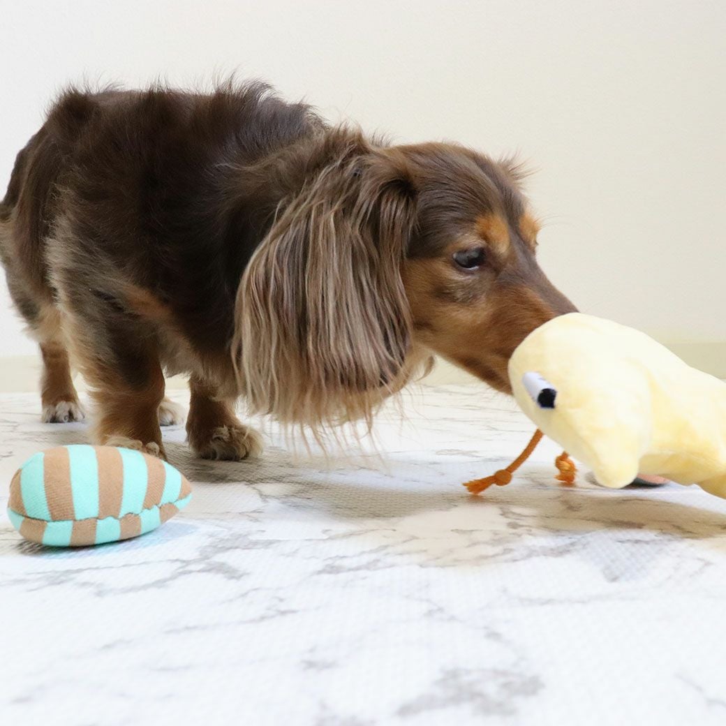 IDOG&ICAT ガチョウとタマゴ カシャカシャと鳴き笛入り アイドッグ-犬