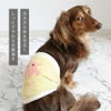 ふわもこ腹巻き