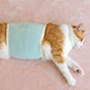 ふわもこ腹巻き