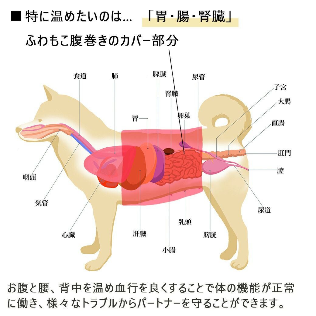 ふわもこ腹巻き