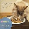三矢コーポレーション/鮪糸削り25g