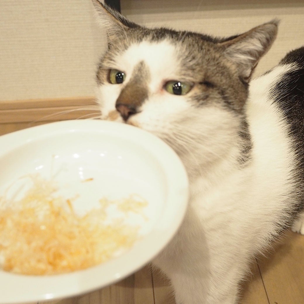 ノズくん4.6kgが試食