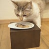 セツちゃん4.1kgが試食