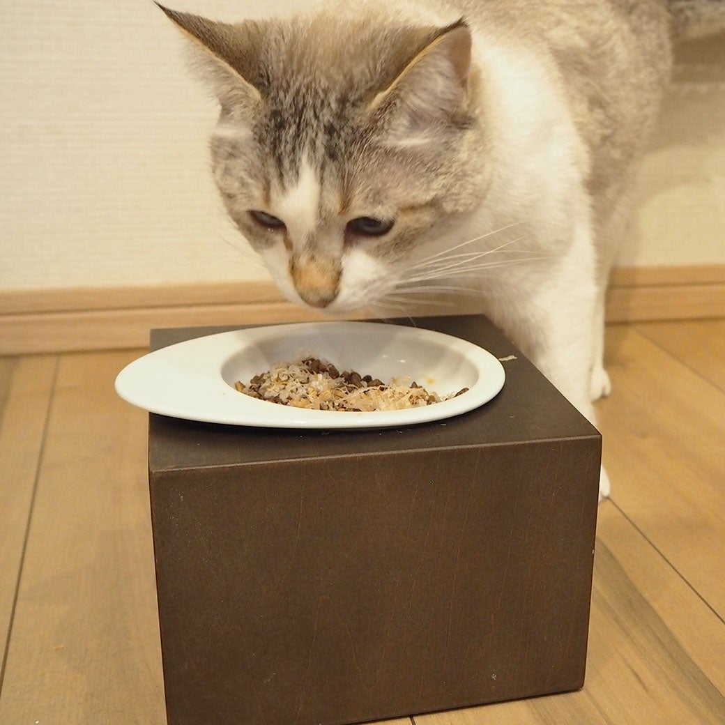 セツちゃん4.1kgが試食