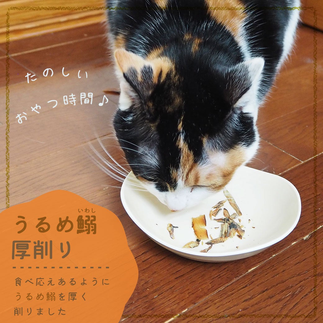 三矢コーポレーション/うるめ鰯厚削り20g