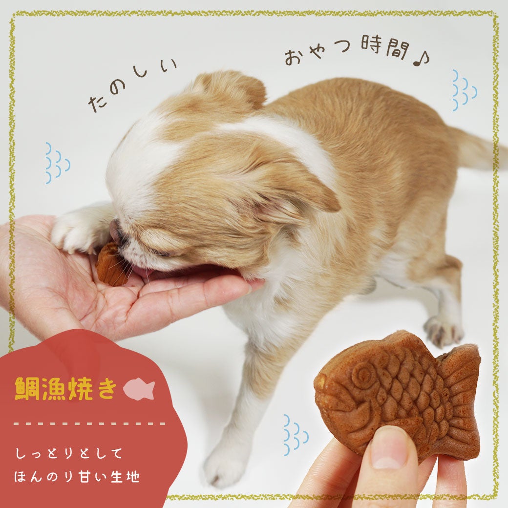 犬に鯛　焼物 鯛漁焼き-犬猫用品通販 IDOG&ICAT|ペット 犬 おやつ