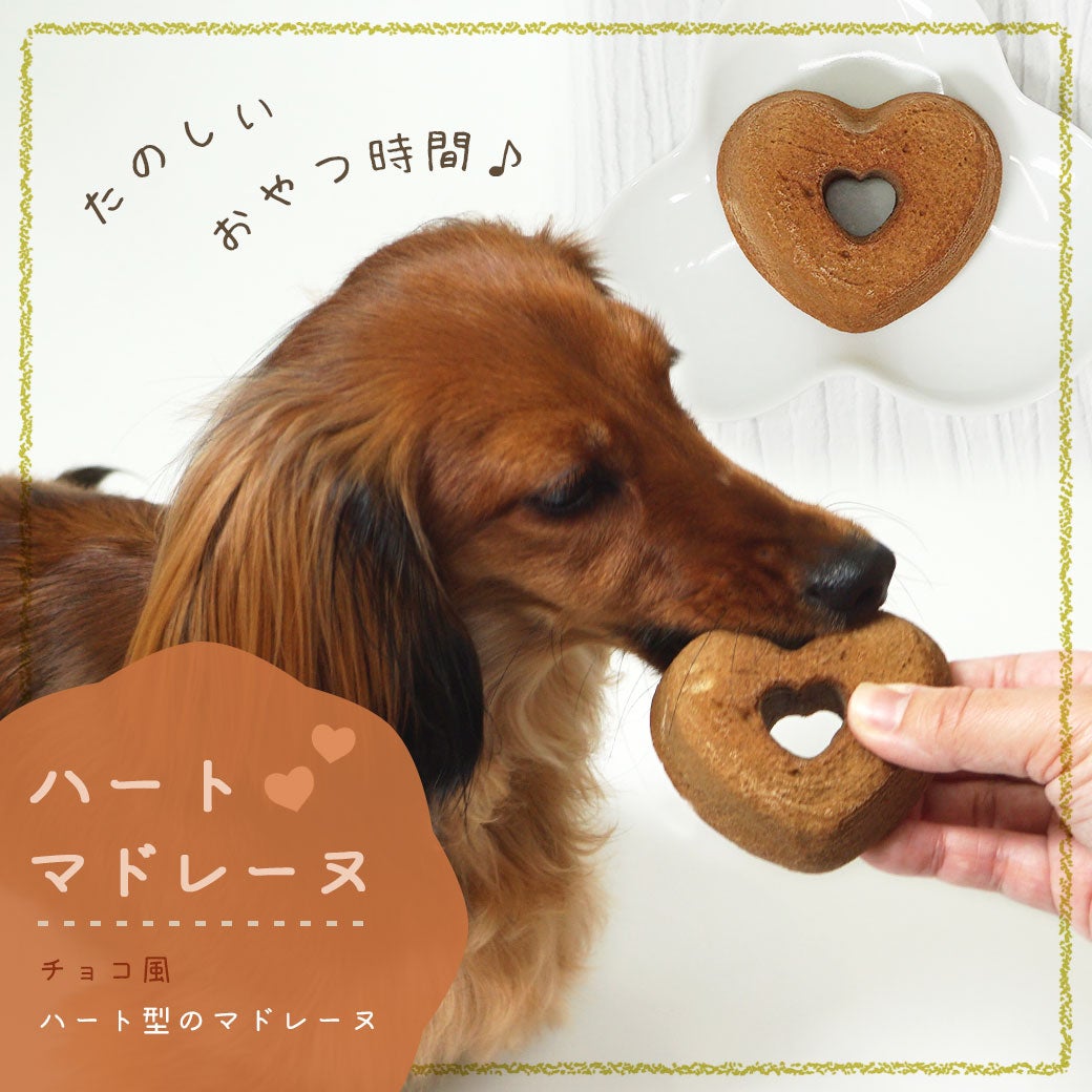 商品紹介