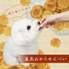 豆乳おからせんべい
