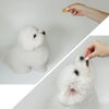 犬が美味しそうに食べている