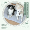 IDOG&ICATiDogfleurチェリーのクッションベッドアイドッグ