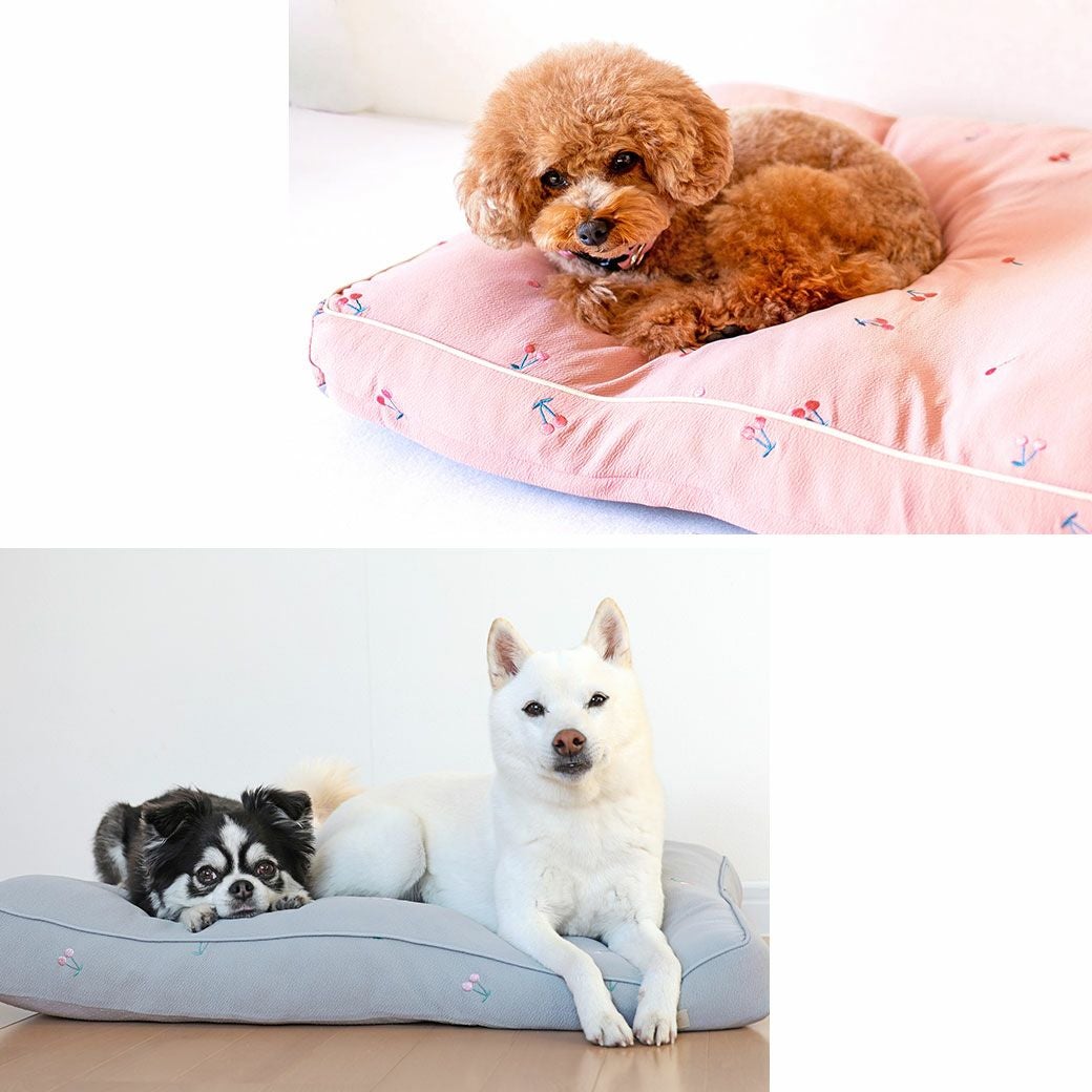 IDOG&ICAT iDog fleur チェリーのクッションベッド アイドッグ-犬猫