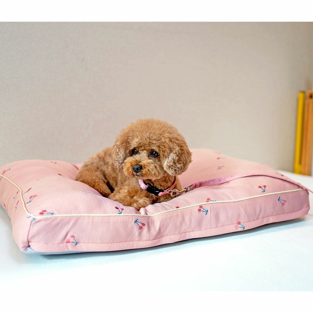 IDOG&ICAT iDog fleur チェリーのクッションベッド アイドッグ-犬猫