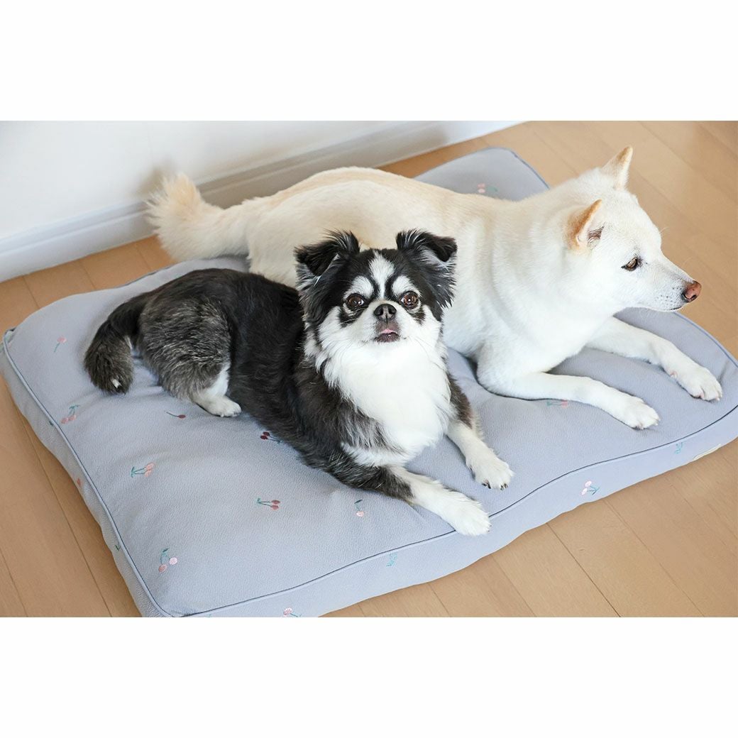 チワワ4kg(首22/胴33/丈28cm)のティノくんと豆柴6.0kg(首31/胴45/丈33cm)のラテちゃんはグレーを使用