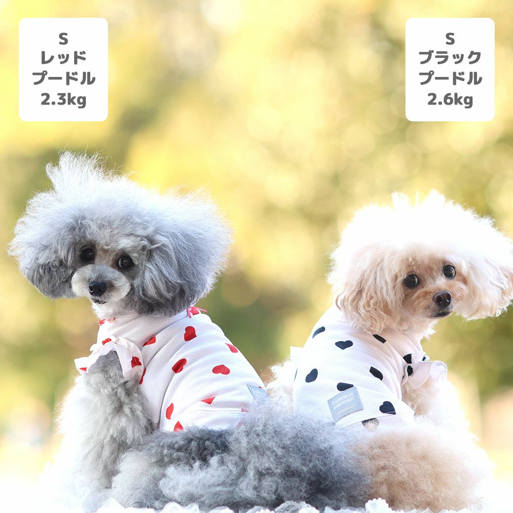 iDog fleur COOL ME+MOSCAPE ハートフリルタンク 冷感 ひんやり 防蚊 アイ