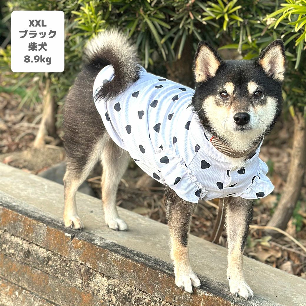 iDog fleur COOL ME+MOSCAPE ハートフリルタンク 冷感 ひんやり 防蚊 アイ