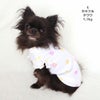 チワワ1.7kg(首19/胴28.5/丈21cm)の小桃ちゃんはカラフルのSを着用