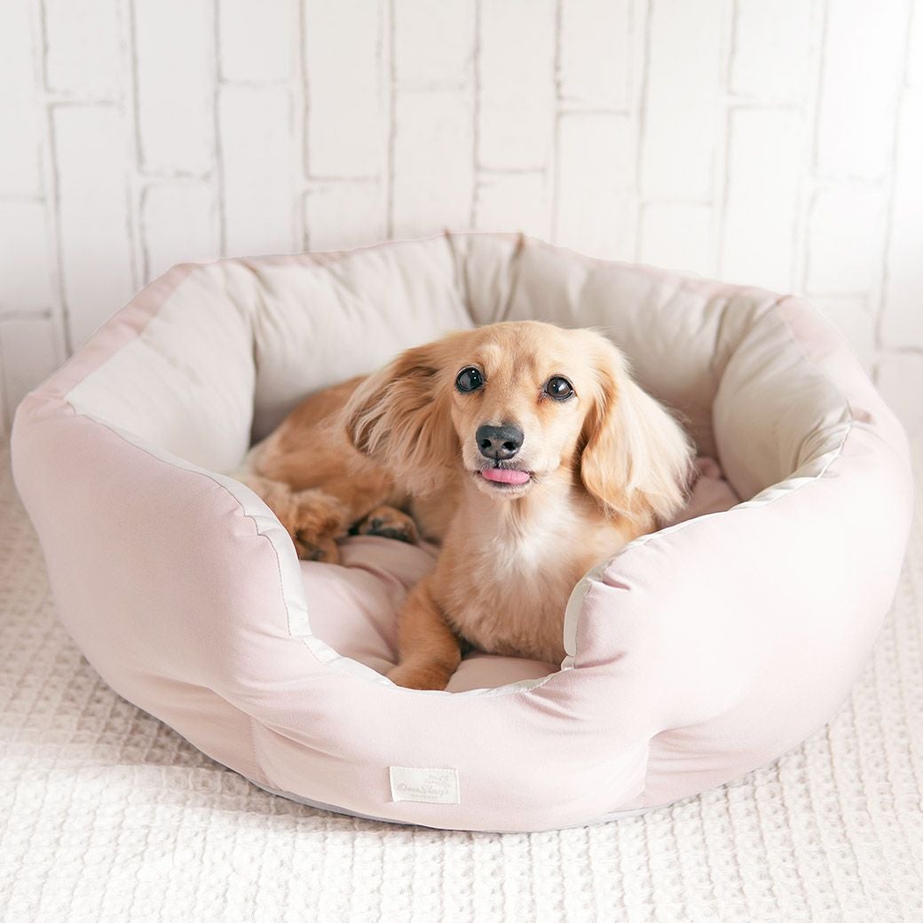 IDOG&ICAT クールラウンドベッド 接触冷感 抗菌 防臭 アイドッグ-犬猫