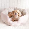 ミニチュアダックス3.9kg(首25/胴37/丈31cm)のクムちゃんはピンクアーモンドを使用