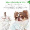 首元のリボンが上品さをプラス