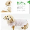 動きやすい工夫がいっぱいの犬用洋服