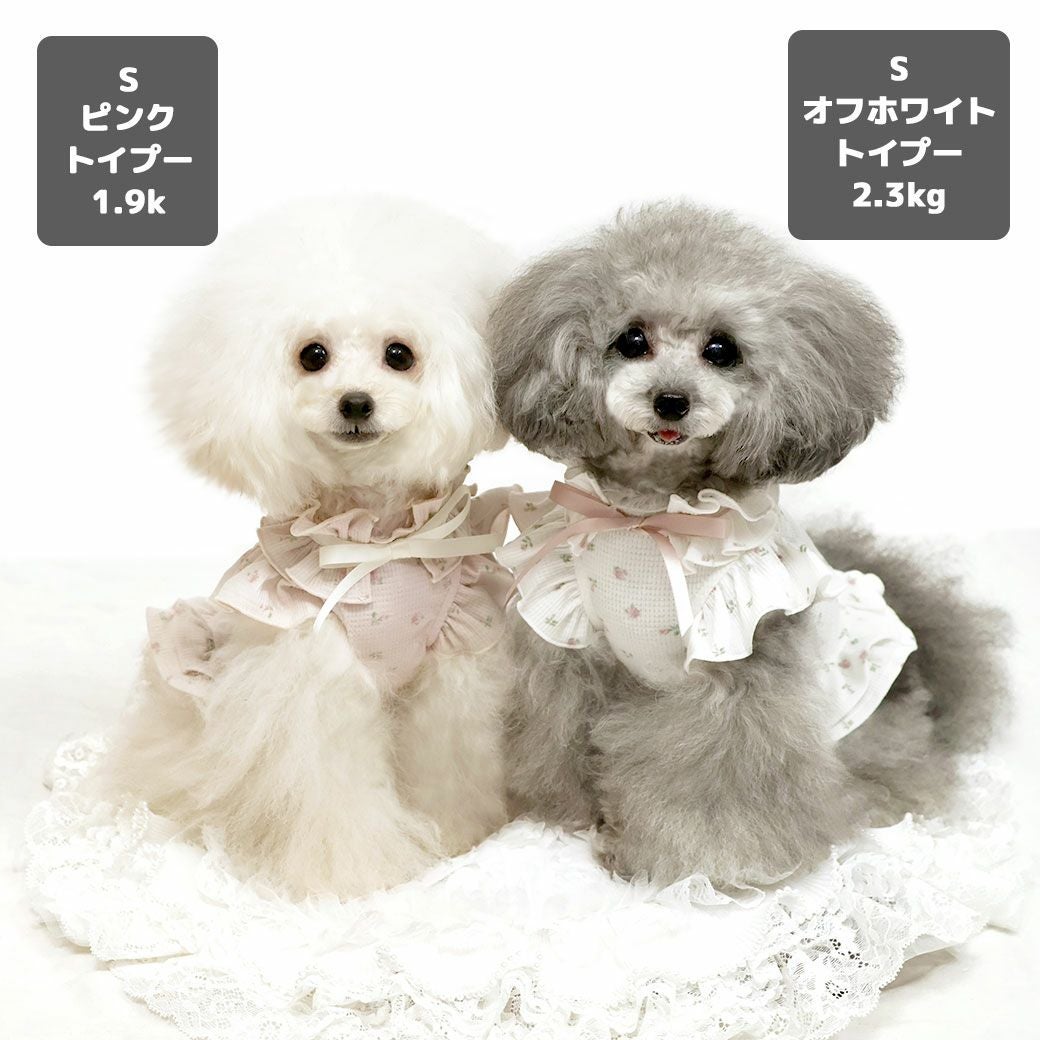 iDog fleur MOSCAPE 小花フリルタンク 防蚊 アイドッグ-犬猫用品通販