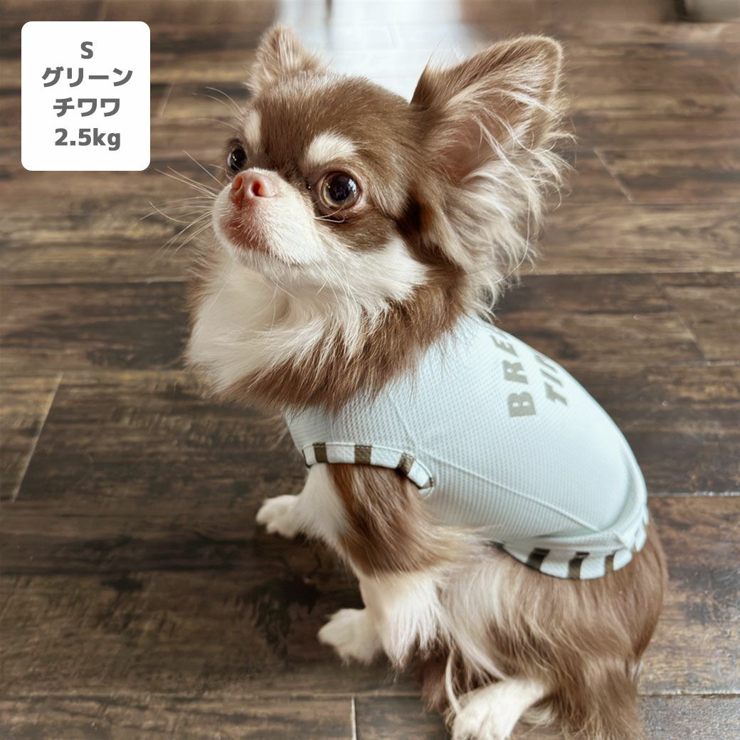 iDog COOL ME+MOSCAPE プリントタンク 冷感 ひんやり 防蚊 アイドッグ