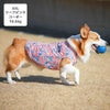 コーギー10.6kg(首36/胴51/丈37cm)のラテちゃんはリーフピンクのXXLを着用